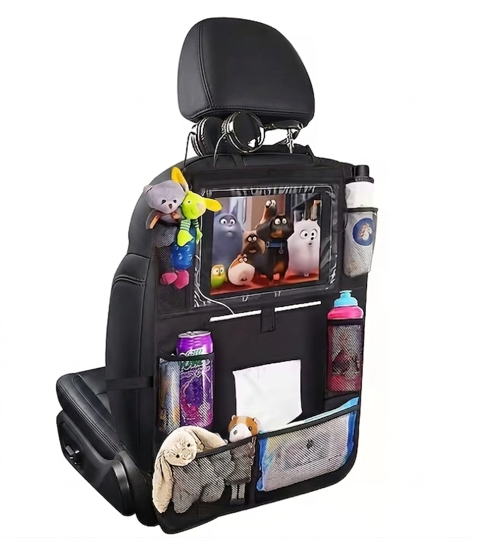 Access a Ride- Front seat storage